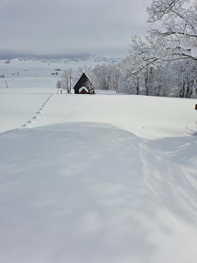 Vila Durmitor Nest Krstajic Zabljak  Luaran gambar