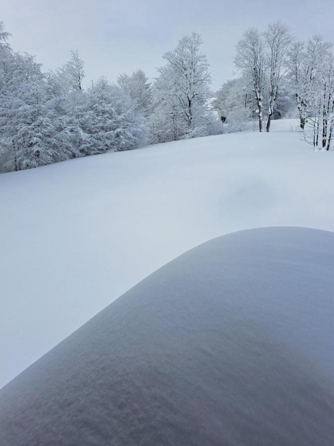 Vila Durmitor Nest Krstajic Zabljak  Luaran gambar