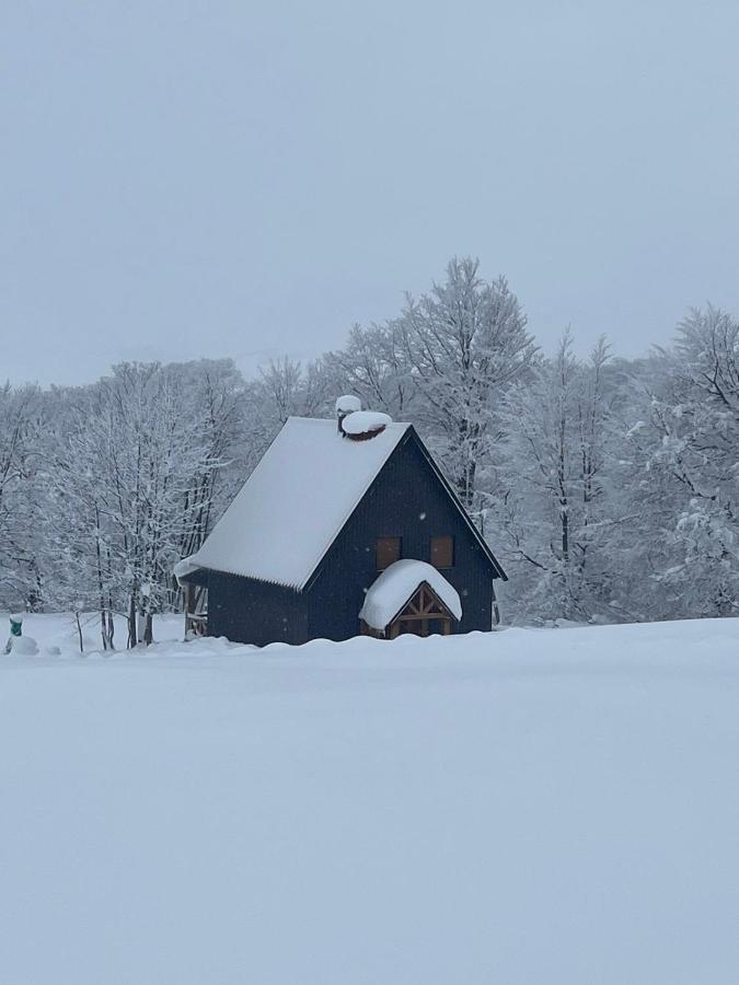 Vila Durmitor Nest Krstajic Zabljak  Luaran gambar